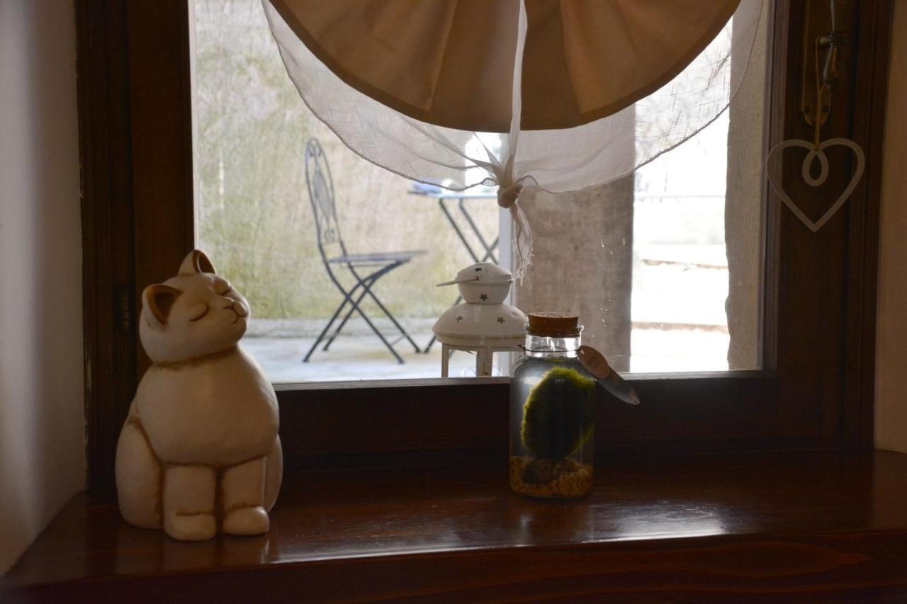 Appartement Accogliente Locale Con Terrazzo In Centro Storico à Vittorio Veneto Extérieur photo